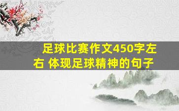 足球比赛作文450字左右 体现足球精神的句子